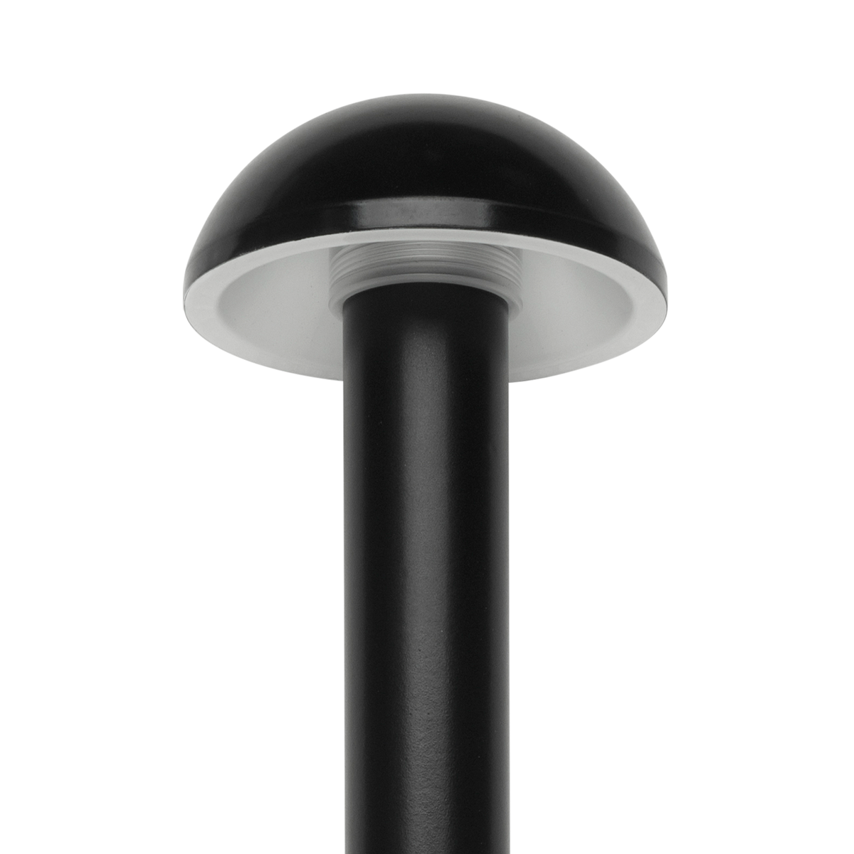 Dome Light
