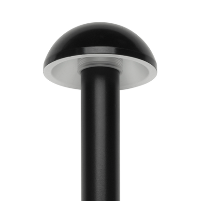 Dome Light