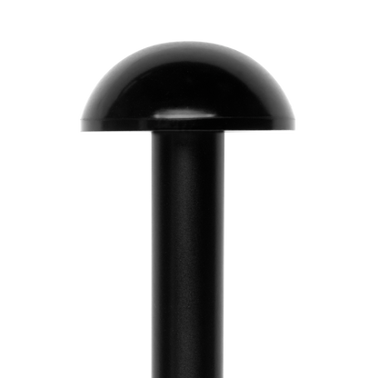 Dome Light
